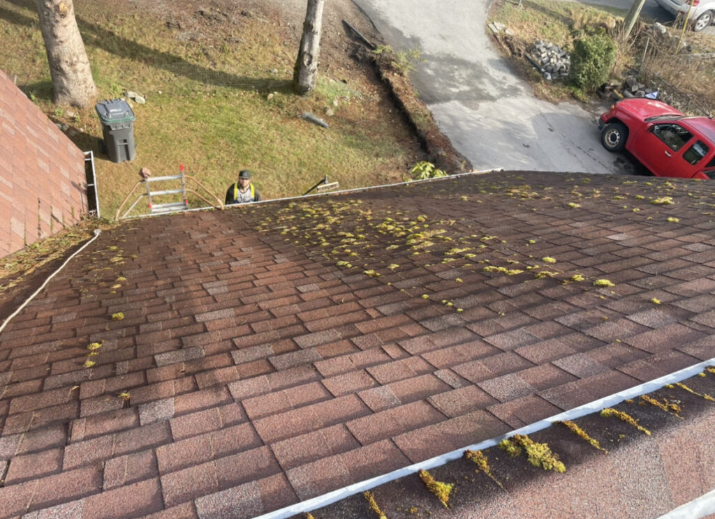 Black Streaks On Roof Squamish BC